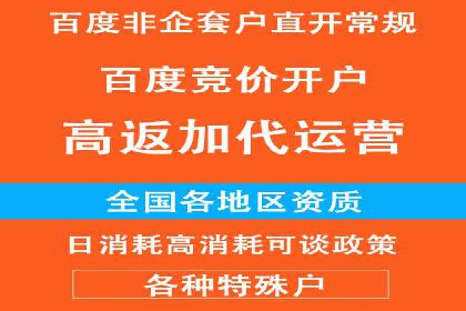 案例解读：SEM代理助力电商销量翻倍